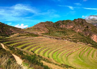 Inca terraces in Sacred Valley Terraced fields in Peru Andes mountains, Cuzco region, Pisac ancient citadel, sunny day, green grass meadow, majestic landscape. Peruvian agriculture.