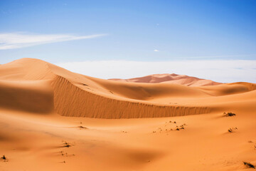 Fototapeta na wymiar Desert landscape with high golden sand dunes. Explore the wilderness scene. Sahara scenic nature off merzouga morocco. Extreme travel destinations. 