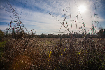 Obraz premium sunset in the field in autumn