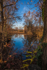 Fototapeta na wymiar autumn trees reflected in a lake