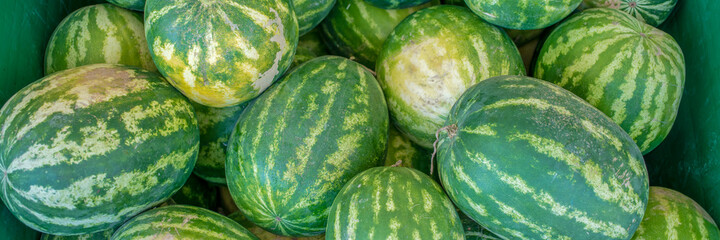 Big fresh striped watermelons lying in pile in large container of supermarket or grocery