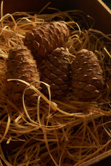 Stone pine cones on wood shavings. Low-key photo.