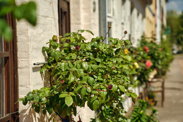 Schleswig Holstein Deutschland Nordsee