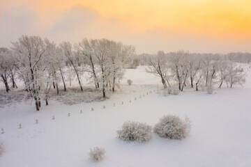 Winter landscape trees covered with hoarfrost