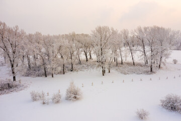 Winter landscape trees covered with hoarfrost