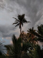 beautiful sunset view