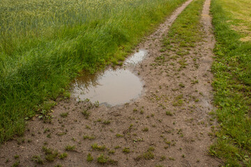 Pfütze im Weg einer grünen Landschaft