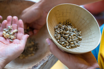 séparation artisanale de la coque et du café à Filandia en Colombie