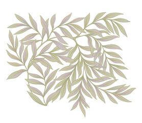 Floral motif of intertwined branches and leavesIn art nouveau style, vintage, old, retro style. Colored vector illustration.