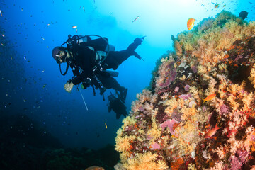 Naklejka na ściany i meble Female SCUBA diver on a tropical coral reef in the Andaman Sea, Asia