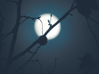 Au clair de lune