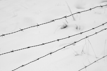 Stacheldraht Zaun Draht Schnee Winter Kontrast Wiese Weide Grenze Umzäunung schwarz weiß...