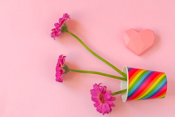 Valentines Day. Paper cup rainbow and gerbera, heart on soft pink background. The concept of gay pride, LGBT community, adoption and human rights. Freedom of choice.