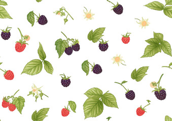 Blackberry. Ripe berries on branch. Seamless pattern, background. Graphic drawing, engraving style. Vector illustration