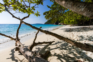 Beautiful sandy beach on a tropical island (Similan Islands, Thailand)