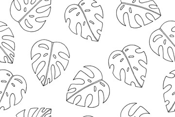 Seamless pattern from leaves of exotic plant monstera. Vector hand-drawn illustration. Doodle. Black and white outline. Coloring.