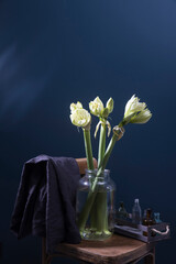 A bouquet of unblown green and white amaryllis in a glass vase on a Viennese chair against a dark blue wall. Wooden tray with small pharmacy bottles.