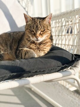 Louna