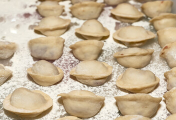 Fototapeta na wymiar Raw dumplings laid out on white flour