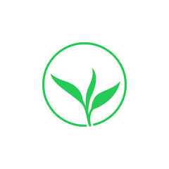 Tea leaves flat vector illustration