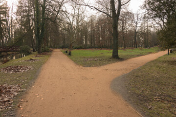 Park Dworski w Iłowej.