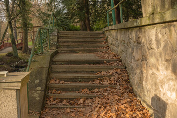 Kamienne schody w Parku Dworskim w Iłowej.
