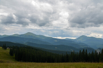 Obraz premium Beautiful view of the picturesque Chornohora ridge, spruce forest, grassy valley from meadow of Kukul under cloudy sky. Wild nature and mountains of the Carpathians, Ukraine