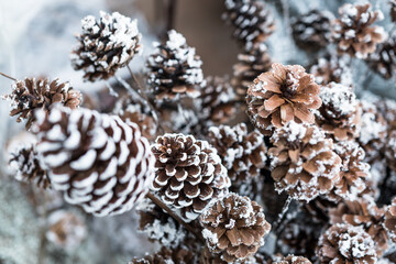 Christmas decorations with cones covered in snow background. Pine cones and fir cones frost winter...