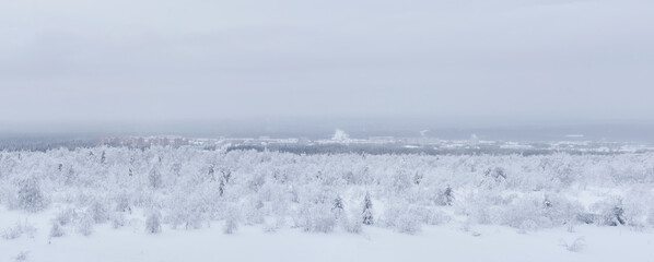 Fototapeta na wymiar frosty winter panorama - a distant town in a valley in the middle of snowy forests in a frosty haze