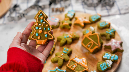 Green ginger bread cookies homemade cooking for Christmas traditional dessert. Kids and family love to prepare green tea cookies. Celebration cookies for Christmas.