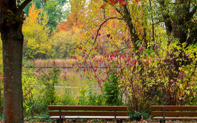 Autumn sketch at lake, multicolored plants, benches in the park