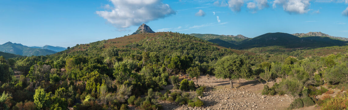 Wide panorama of hills, forest and mountains in region of Ulassai with Monte Oseli, Sardinia landscape in summertime, blue sky