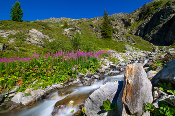 river in the mountains (Vorarlberg/Tyrol, Austria)