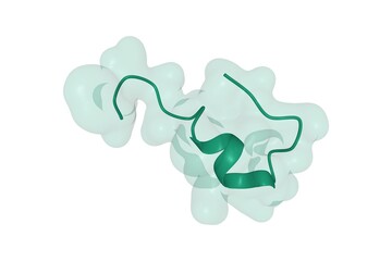 Structure of human endothelin-1, a polypeptide hormone regulator of blood pressure, 3D combined surface-cartoon model isolated, white background