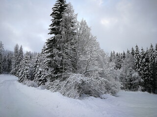 Winterlandschaft in der Steiermark