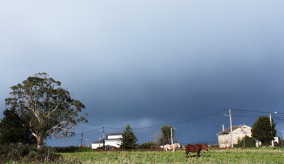 Cyclone Bella at Cathedrals Beach in Galician Coast