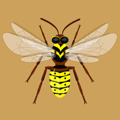 Wasp illustration isolated on beige background, vector graphics