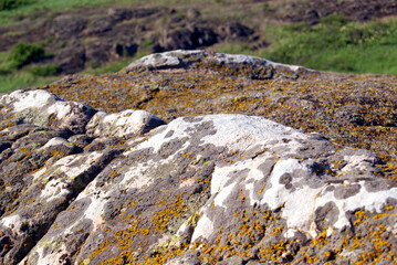 Granite mossy, texture, close-up