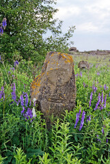 Stone idol in the National Park