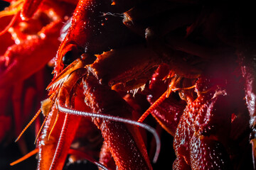 Red cooked crayfish macro
