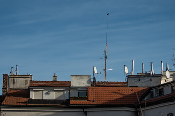 Fototapeta premium Roofs and chimneys of Prague 6, and area of old and luxury buildings in the district of Prague 6, czech Republic.