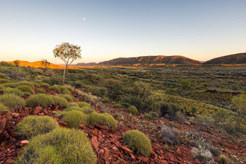 Naklejka premium Sunrise in Macdonnell Ranges, Australia