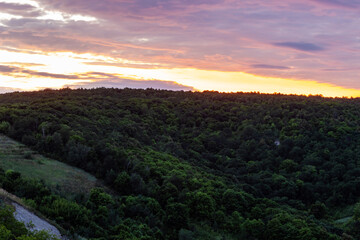 Obraz premium View of the hillside in the thickets of the forest at dusk against the backdrop of the sunset.