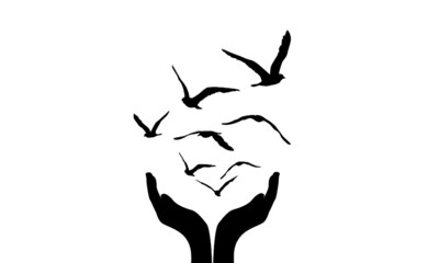 birds flying from handful