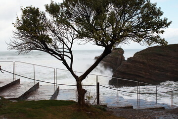 Cyclone Bella at Cathedrals Beach in Galician Coast