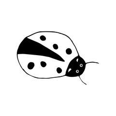 Doodle ladybug. hand drawn of a ladybug isolated on a white background. Vector illustration sticker, icon, design element