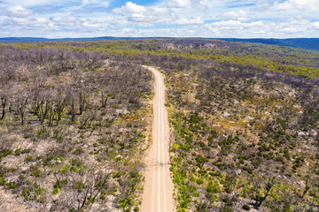 Aerial view of a dirt road in a forest regenerating from bushfire in regional Australia