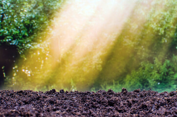 empty soil ready for plants on green leaves background