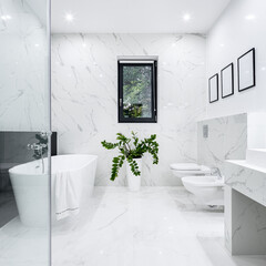Black and white bathroom with window