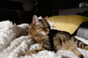 Louna